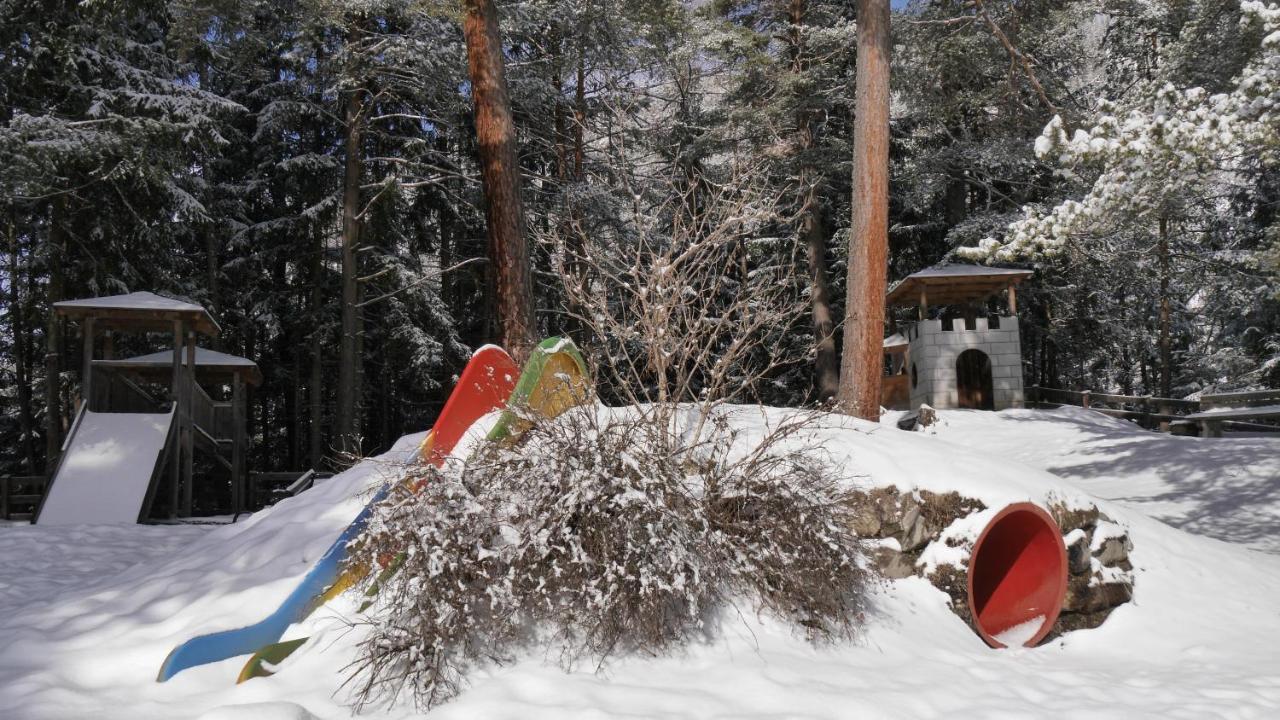 Chalet Skiblume
